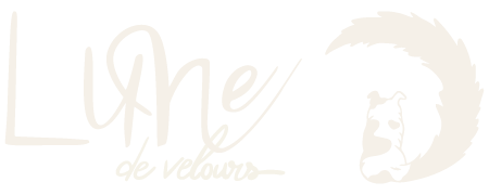 Logo Lune de velours - Retour à l'accueil